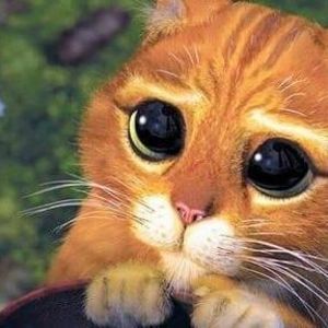 Meet your Posher, Sonya